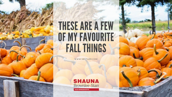 Falling for Fall in Ottawa