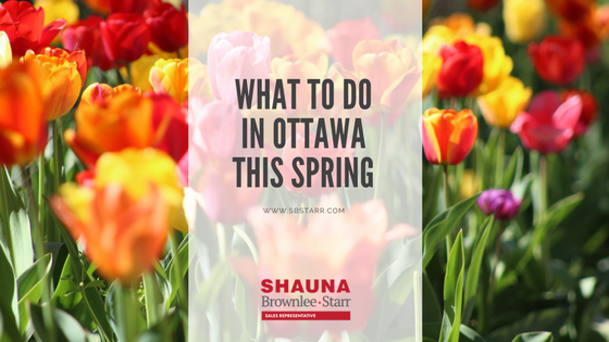 What’s on in Ottawa this Spring